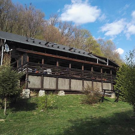 ホテル Cabana La Noi Rîşnov エクステリア 写真