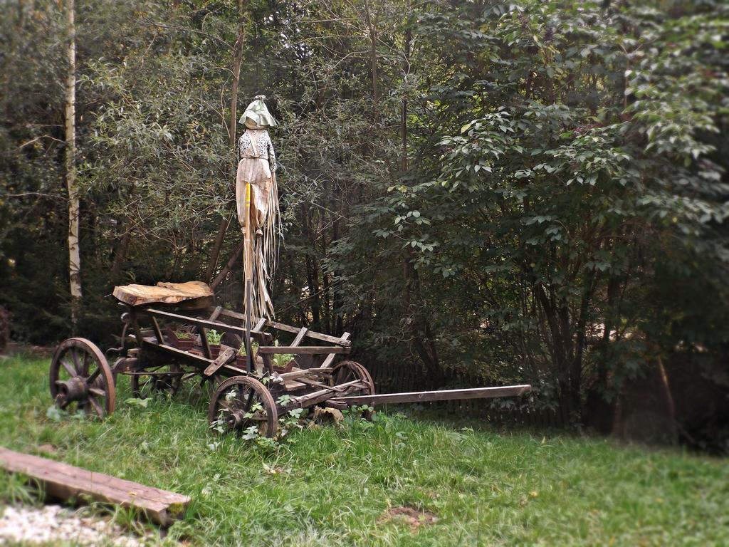 ホテル Cabana La Noi Rîşnov エクステリア 写真