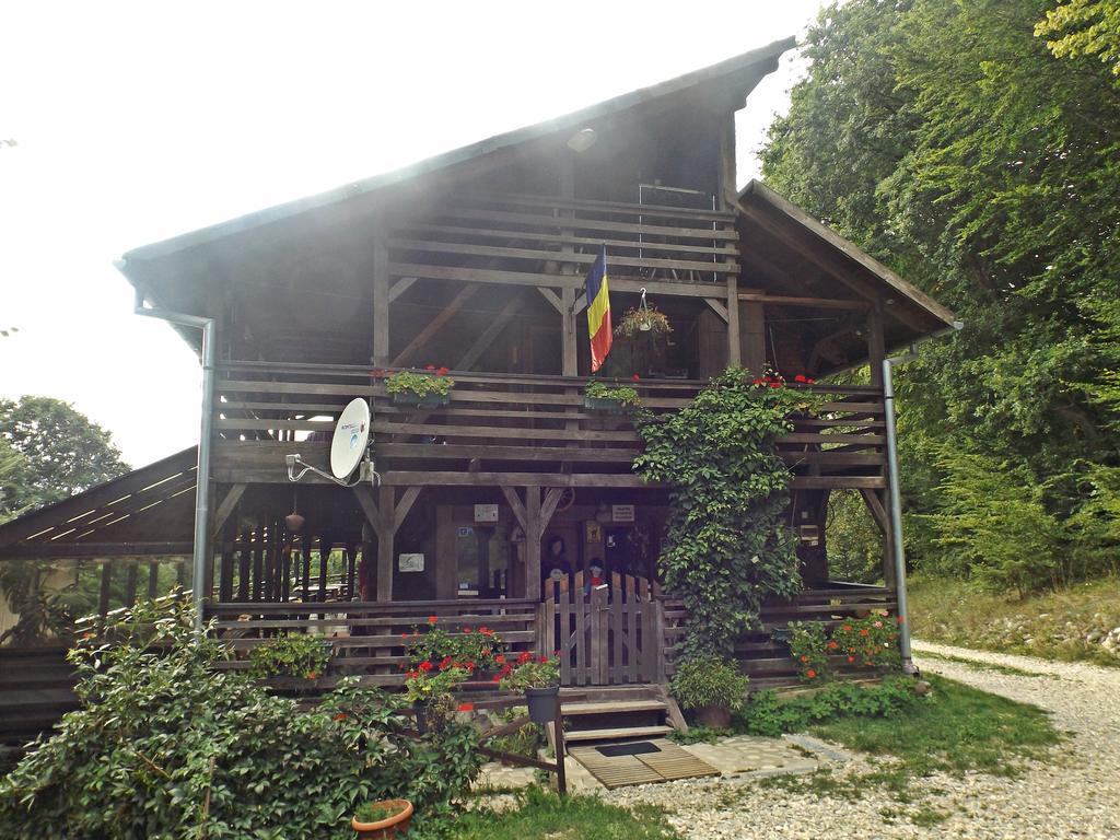 ホテル Cabana La Noi Rîşnov エクステリア 写真