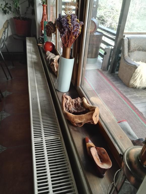 ホテル Cabana La Noi Rîşnov エクステリア 写真