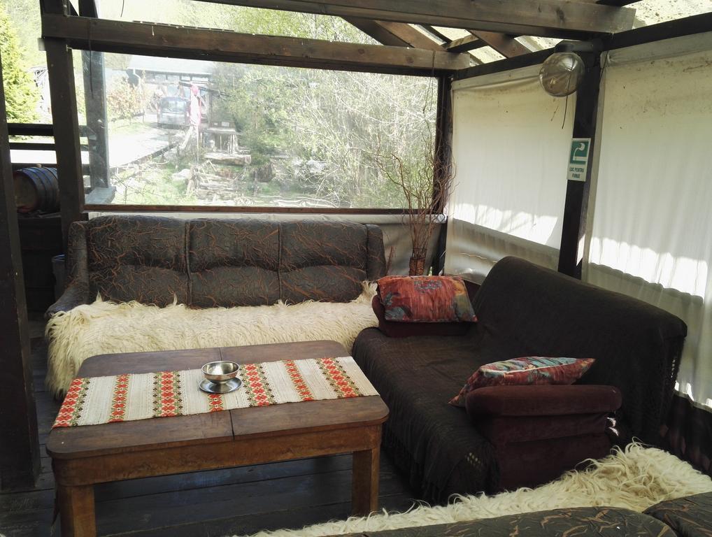 ホテル Cabana La Noi Rîşnov エクステリア 写真