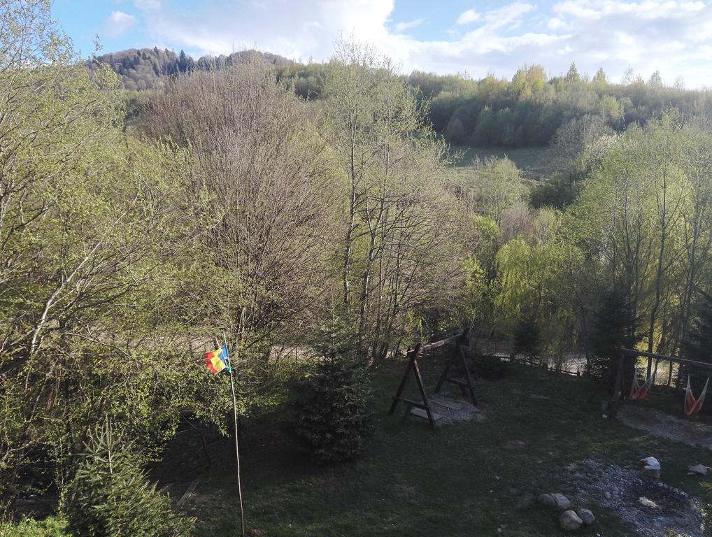 ホテル Cabana La Noi Rîşnov エクステリア 写真