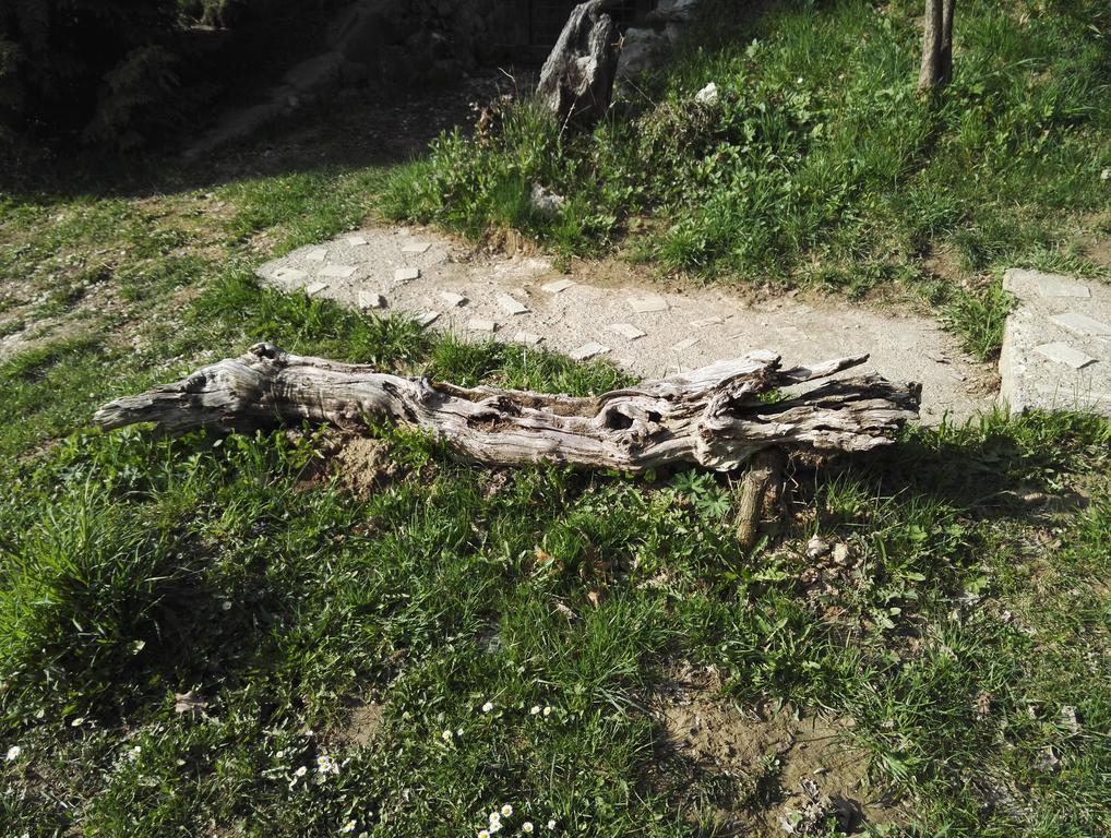 ホテル Cabana La Noi Rîşnov エクステリア 写真