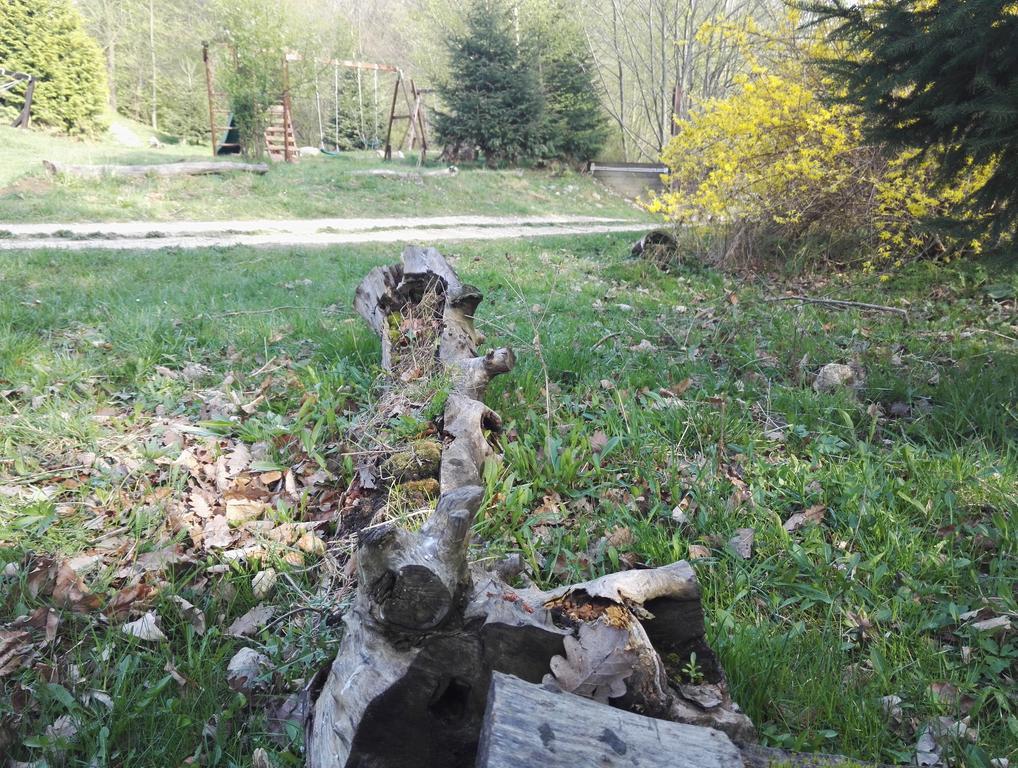 ホテル Cabana La Noi Rîşnov エクステリア 写真