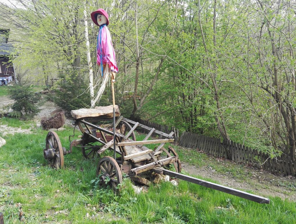 ホテル Cabana La Noi Rîşnov エクステリア 写真
