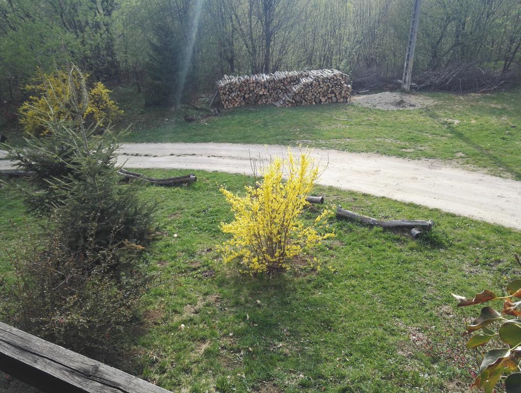 ホテル Cabana La Noi Rîşnov エクステリア 写真
