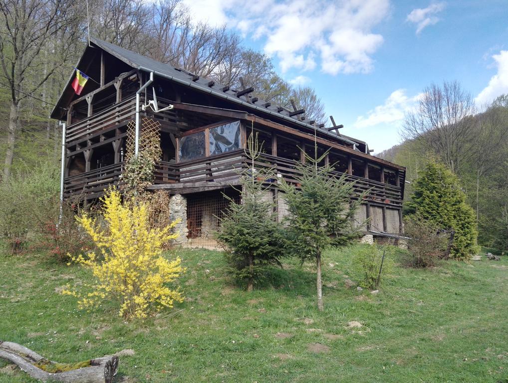 ホテル Cabana La Noi Rîşnov エクステリア 写真